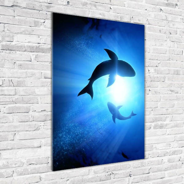 Print on acrylic glass Silhouettes of sharks