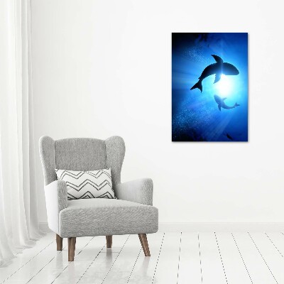 Print on acrylic glass Silhouettes of sharks