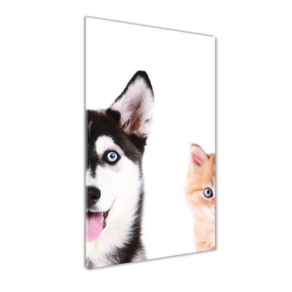 Print on acrylic glass Dog and cat