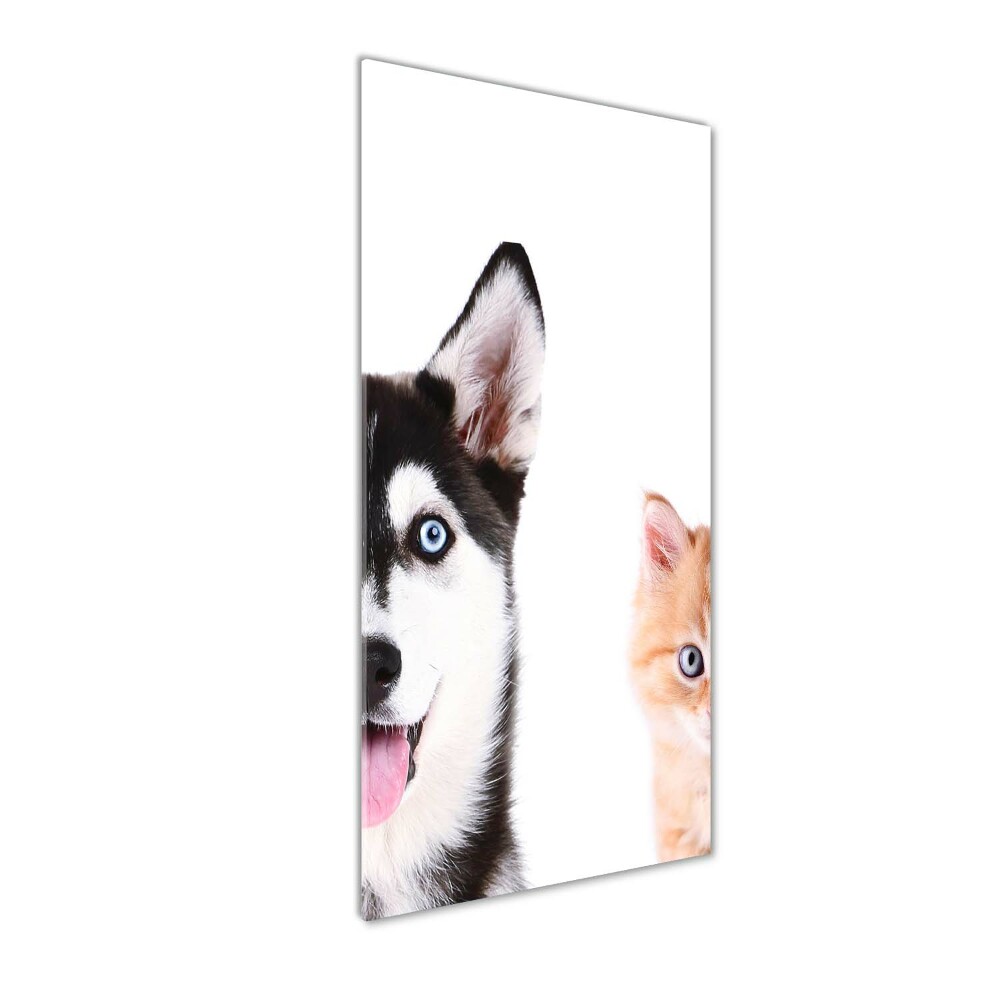 Print on acrylic glass Dog and cat