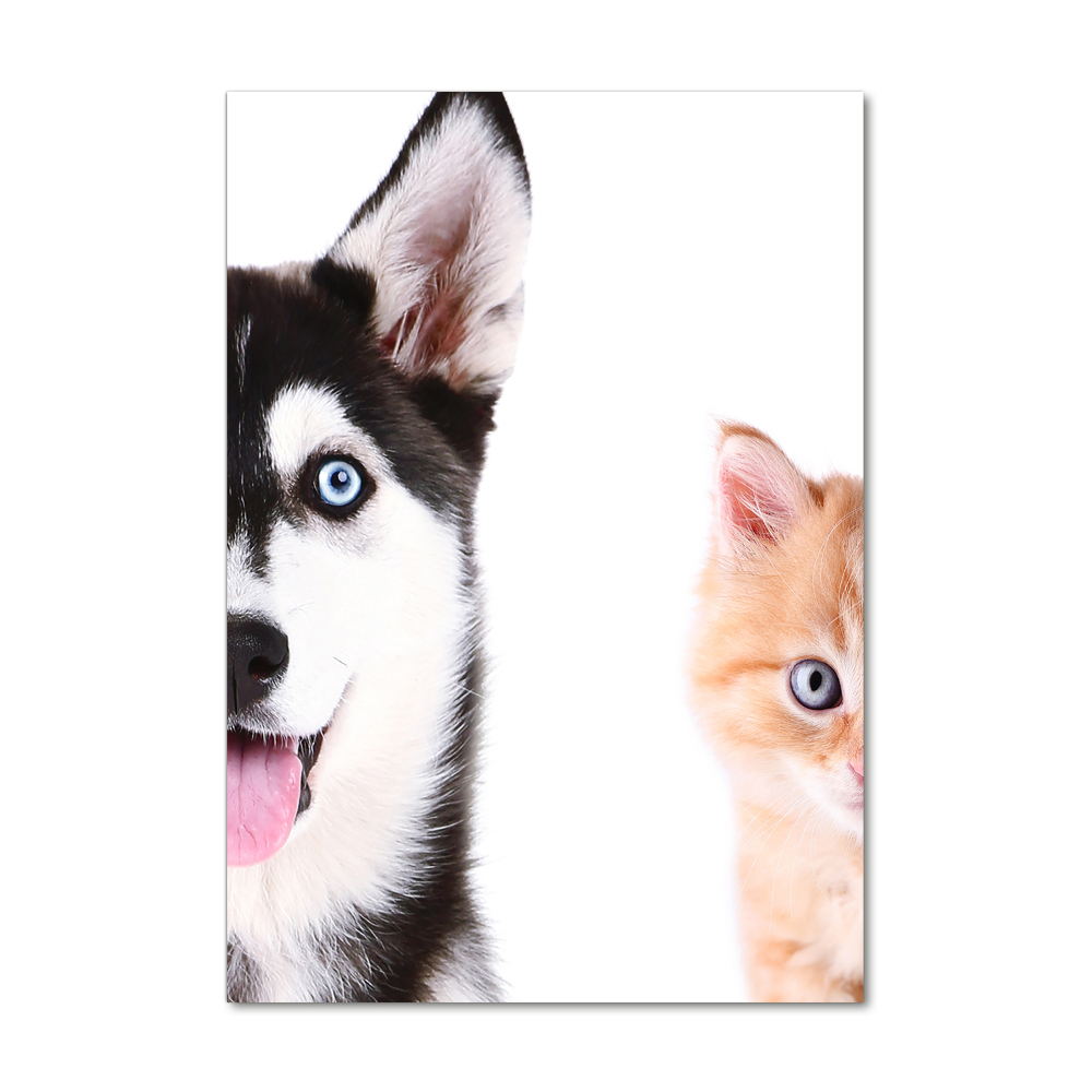 Print on acrylic glass Dog and cat