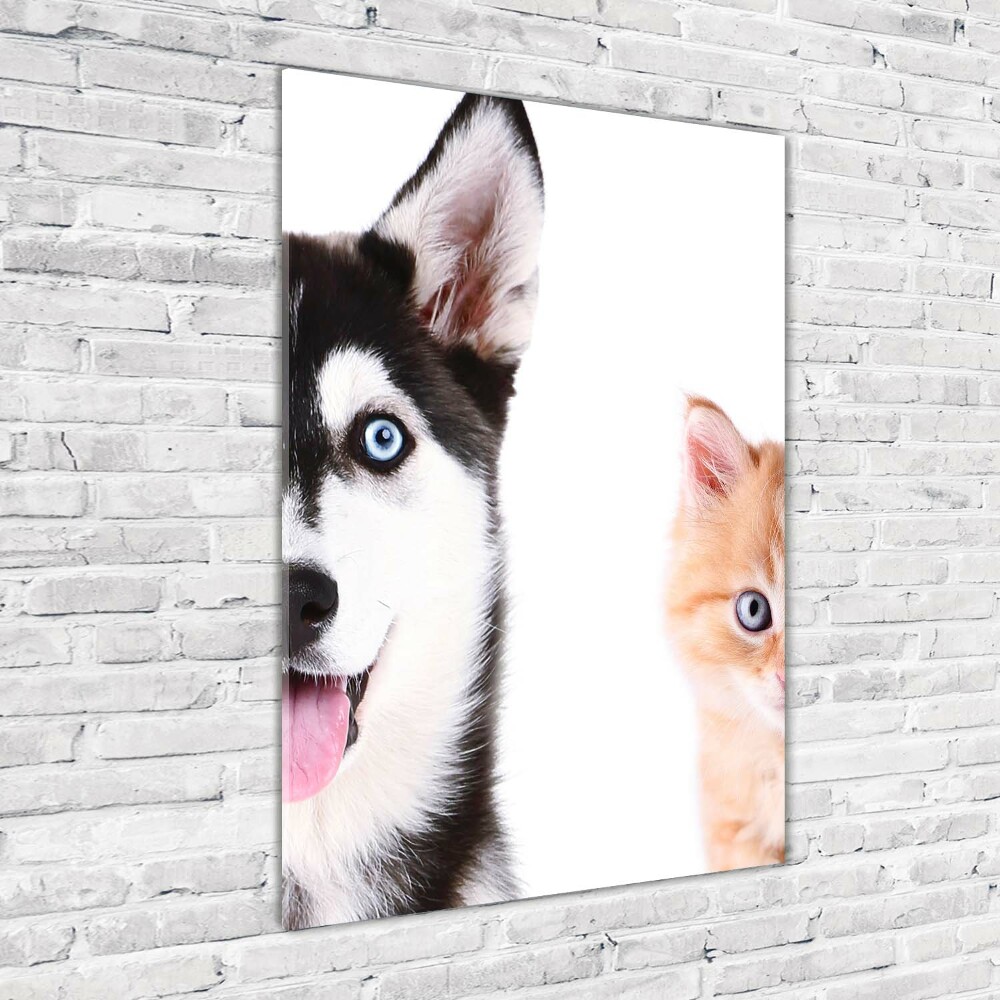 Print on acrylic glass Dog and cat