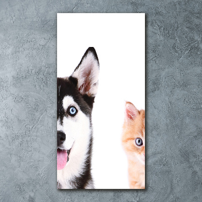 Print on acrylic glass Dog and cat