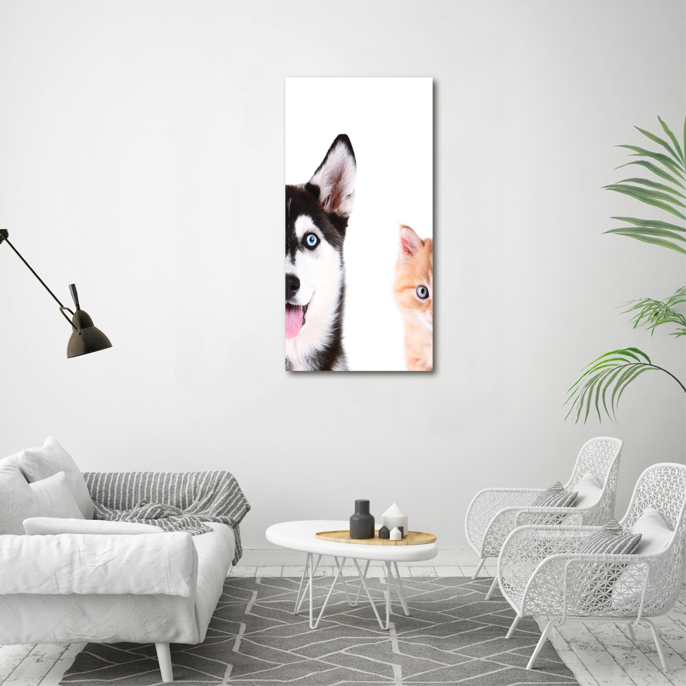 Print on acrylic glass Dog and cat