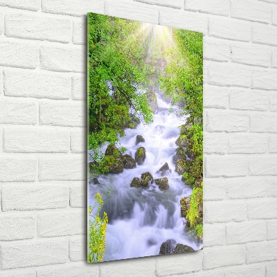 Print on acrylic Mountain stream