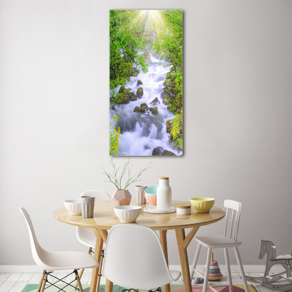 Print on acrylic Mountain stream