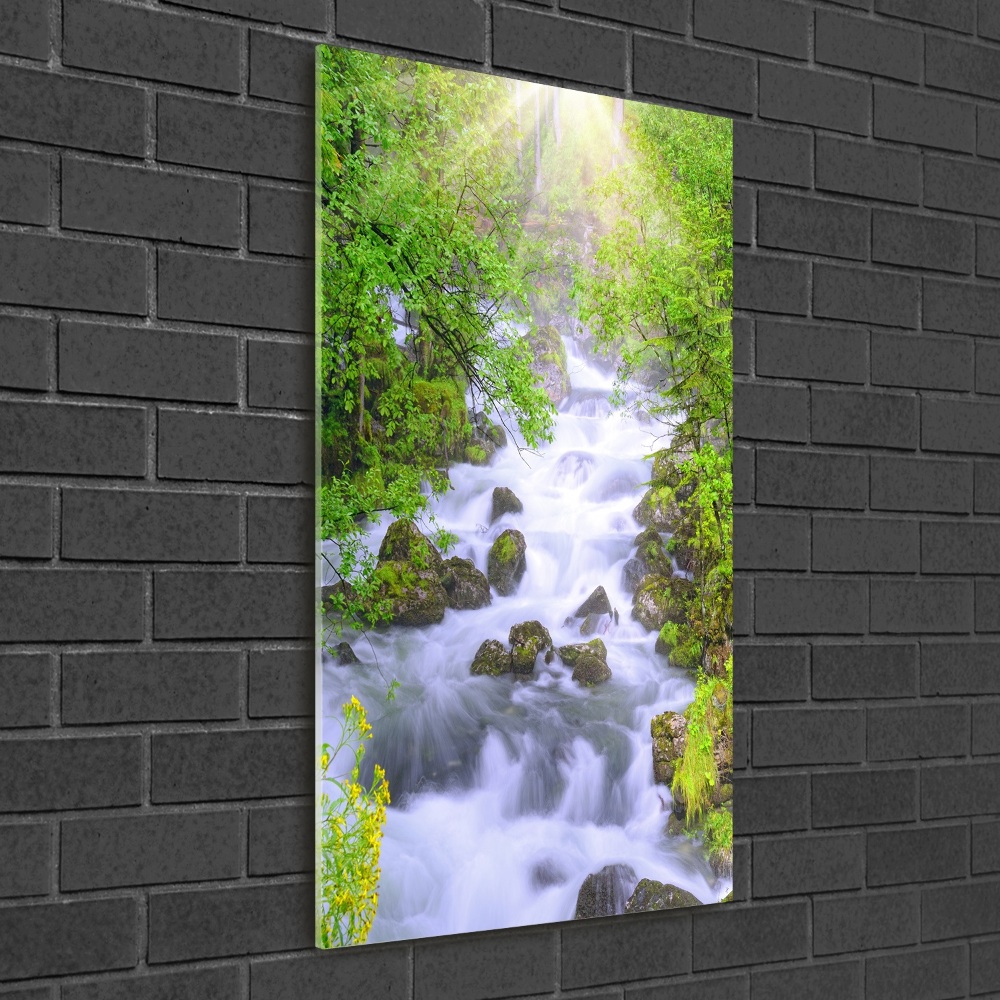 Print on acrylic Mountain stream