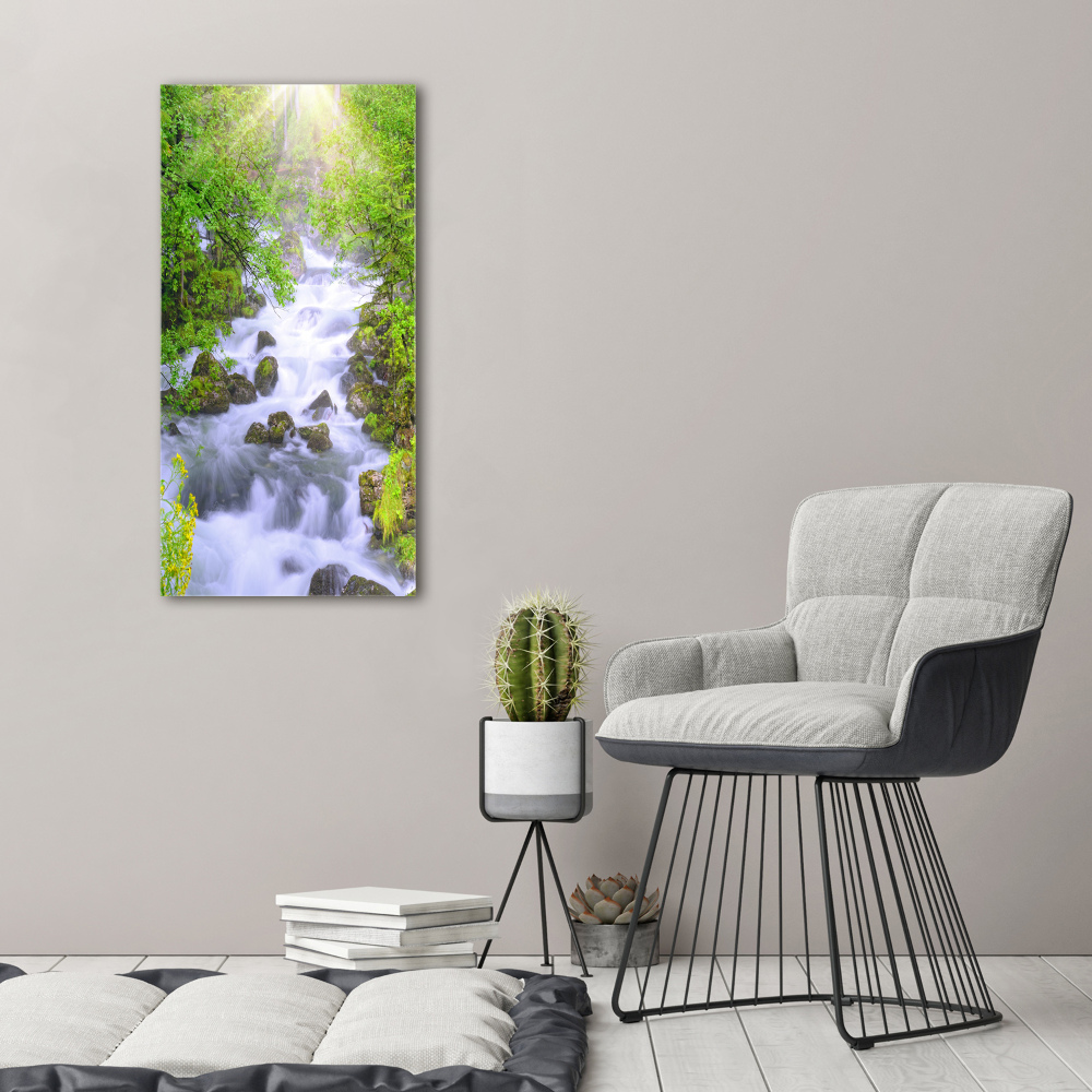 Print on acrylic Mountain stream