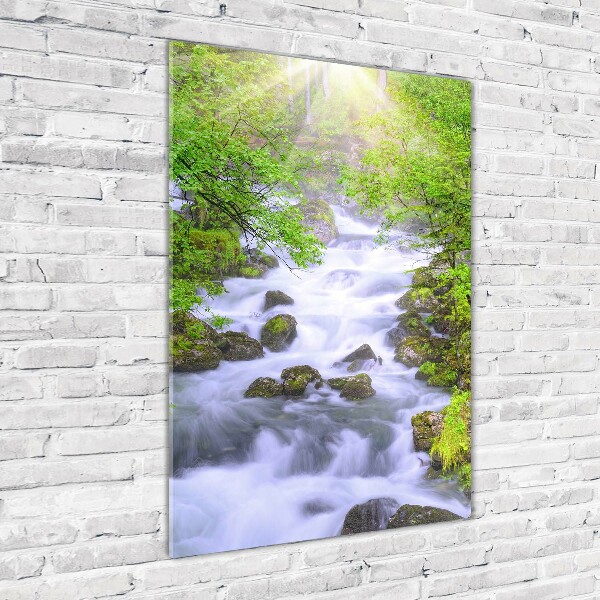 Print on acrylic Mountain stream