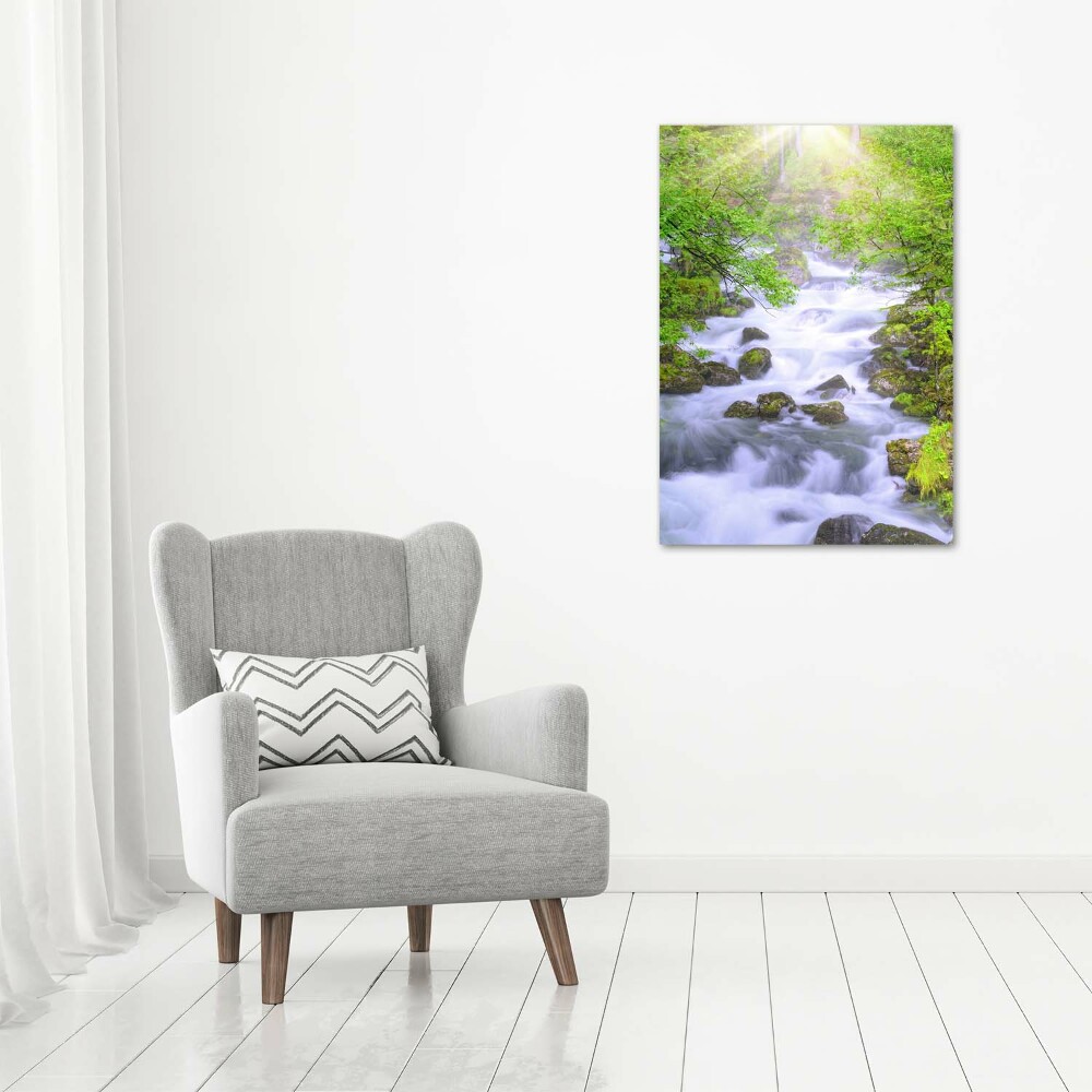 Print on acrylic Mountain stream