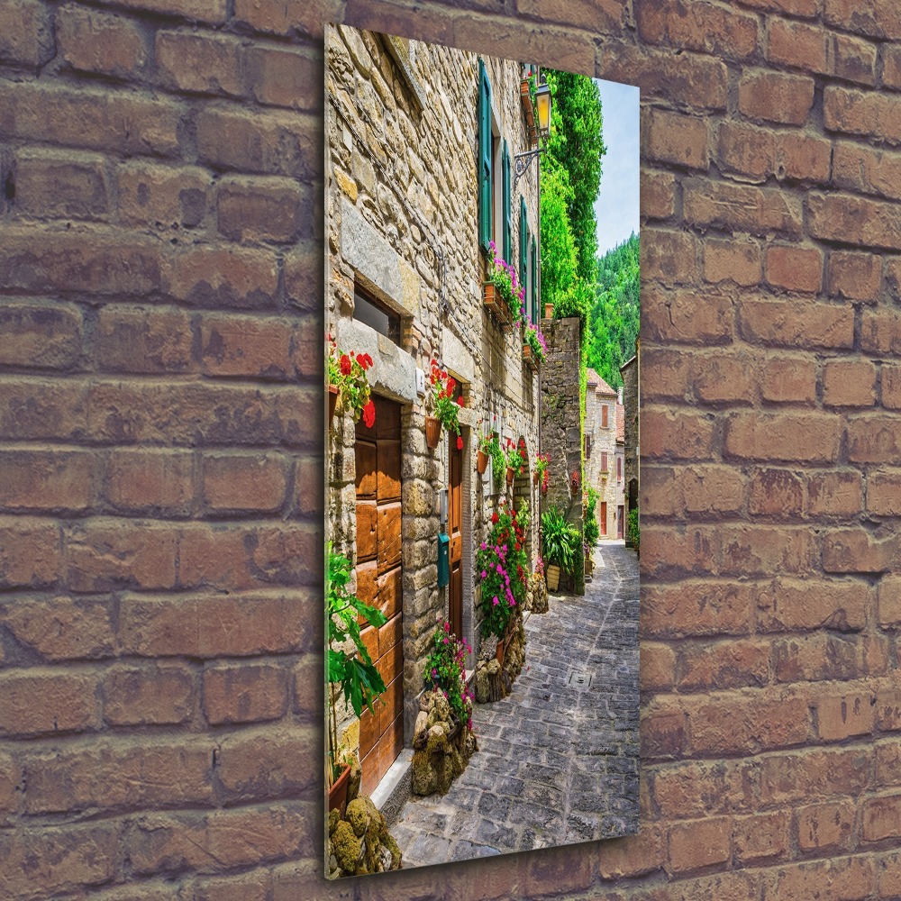 Wall art acrylic Charming street