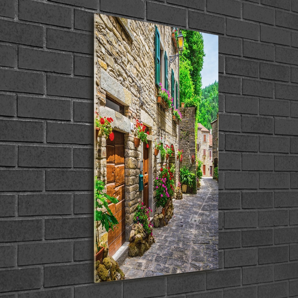 Wall art acrylic Charming street