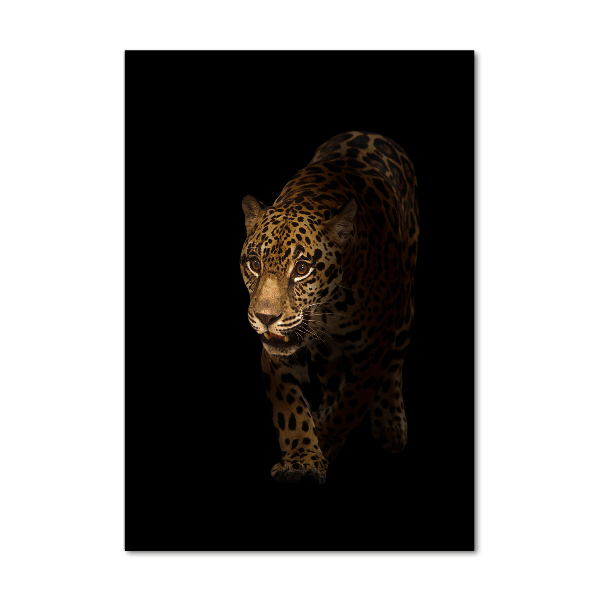 Print on acrylic glass Jaguar