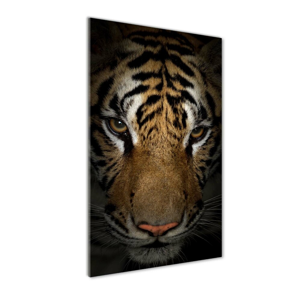 Print on acrylic glass Tiger