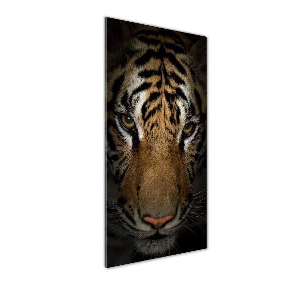 Print on acrylic glass Tiger