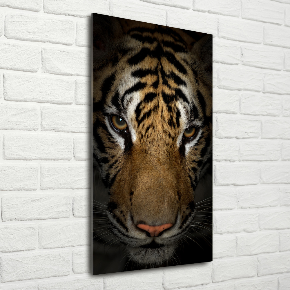 Print on acrylic glass Tiger