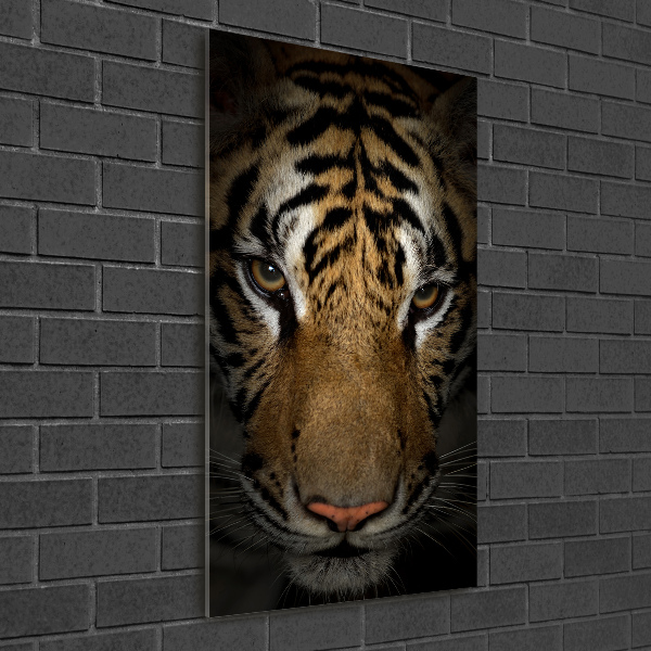 Print on acrylic glass Tiger