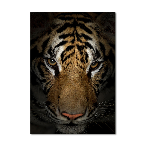 Print on acrylic glass Tiger