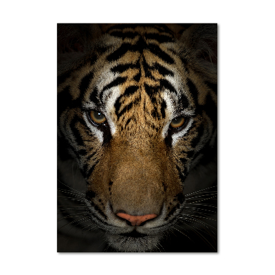 Print on acrylic glass Tiger