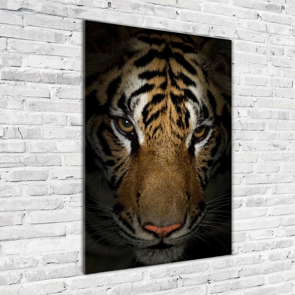 Print on acrylic glass Tiger