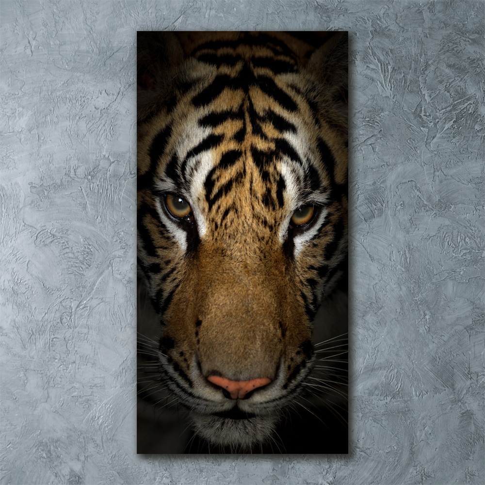 Print on acrylic glass Tiger