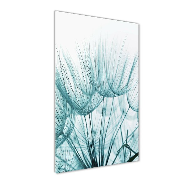 Dandelion seeds