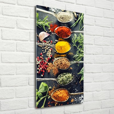 Acrylic print Spices