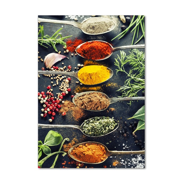 Acrylic print Spices