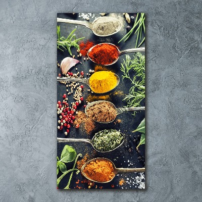 Acrylic print Spices