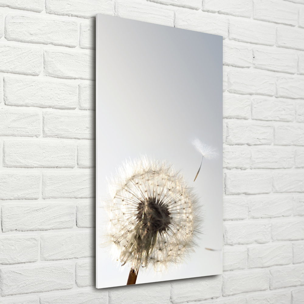 Print on acrylic Dandelion