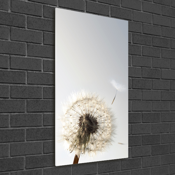 Print on acrylic Dandelion