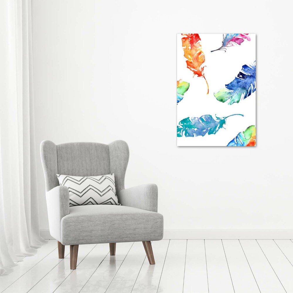 Print on acrylic glass Colorful feathers