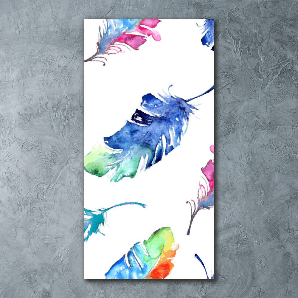 Print on acrylic glass Colorful feathers