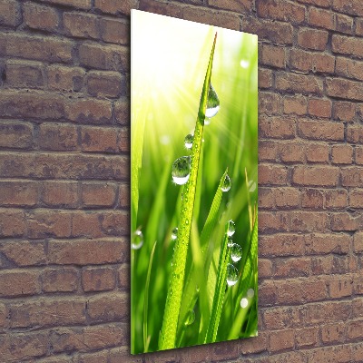 Print on acrylic Blade of grass