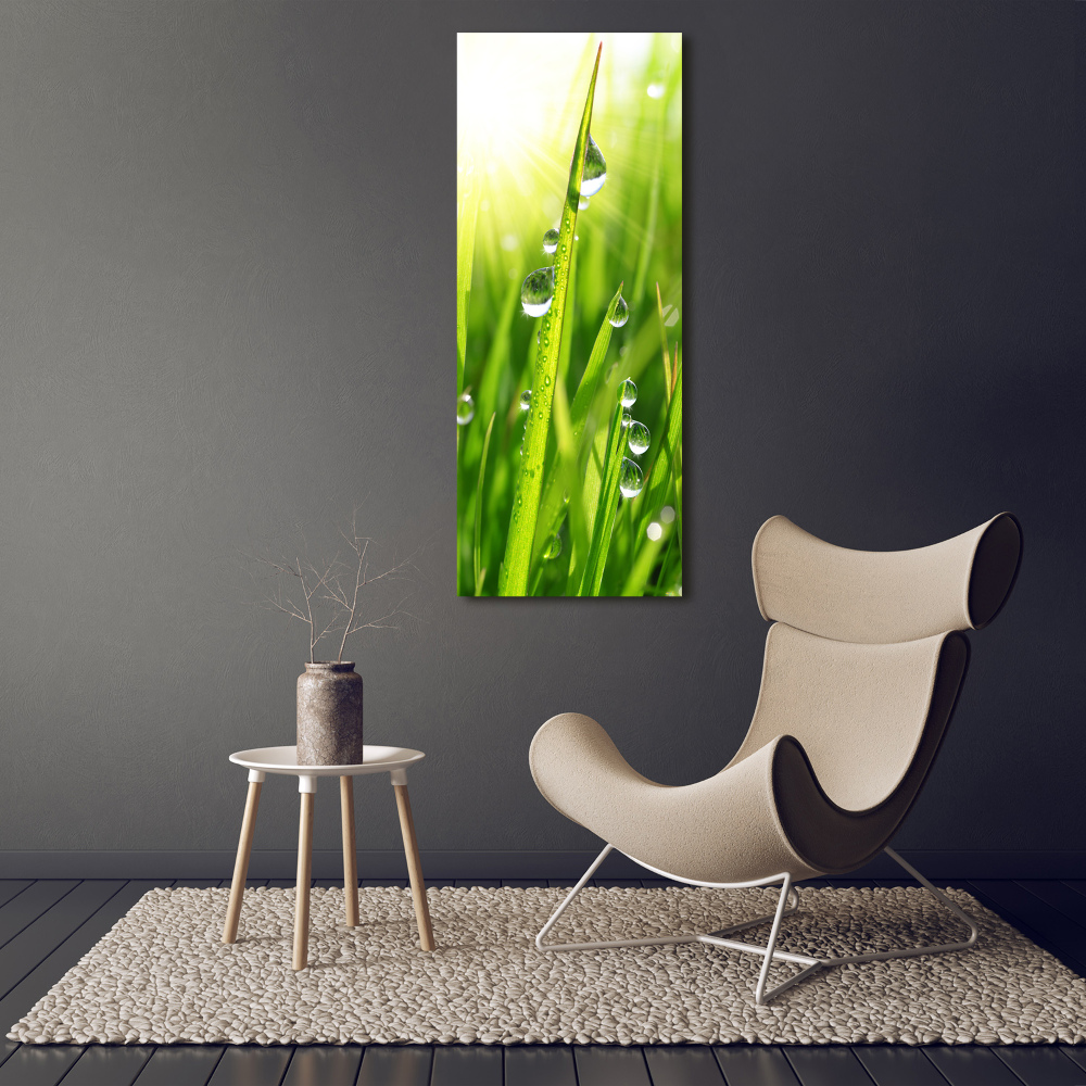 Print on acrylic Blade of grass