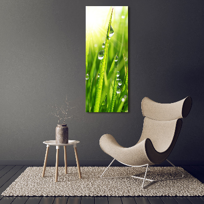 Print on acrylic Blade of grass