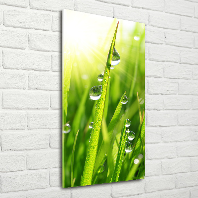 Print on acrylic Blade of grass