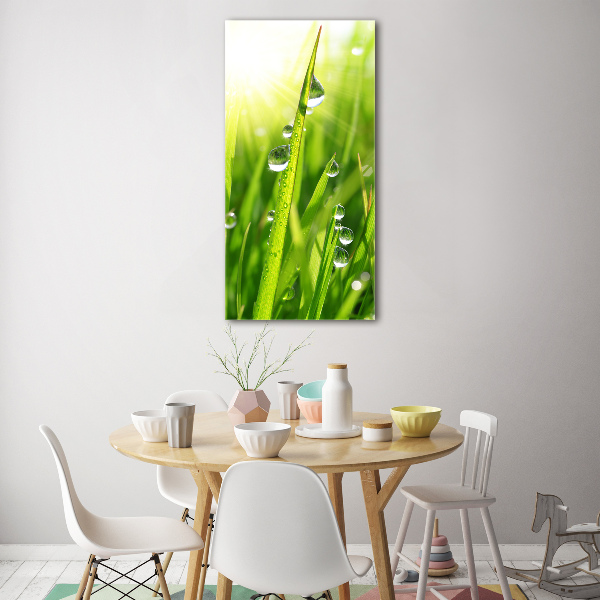 Print on acrylic Blade of grass