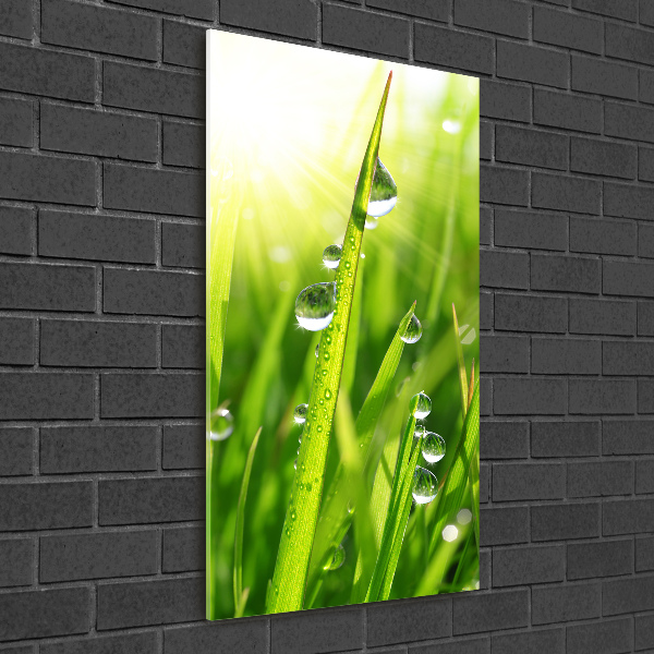 Print on acrylic Blade of grass