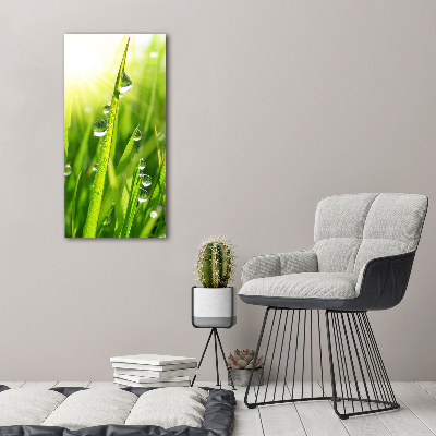 Print on acrylic Blade of grass