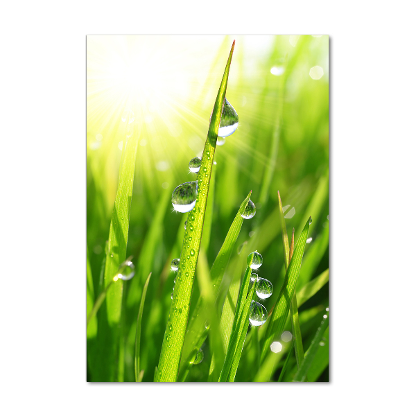 Print on acrylic Blade of grass