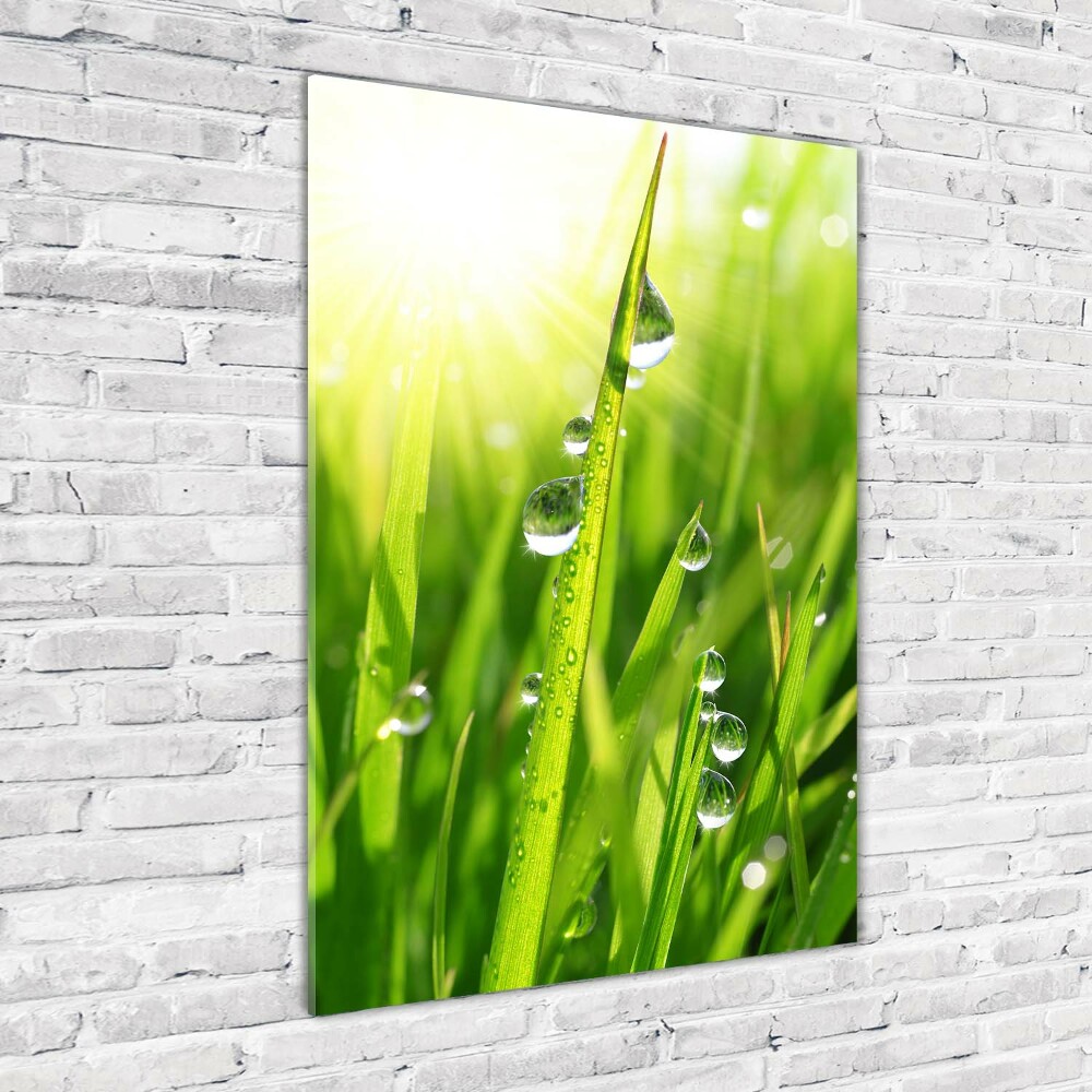 Print on acrylic Blade of grass