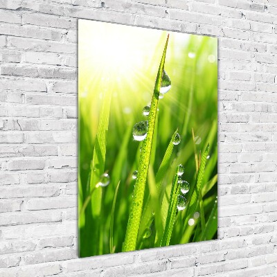 Print on acrylic Blade of grass