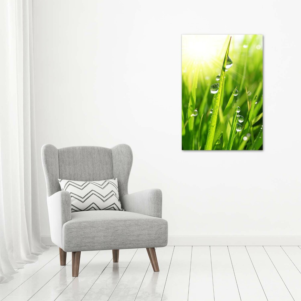 Print on acrylic Blade of grass