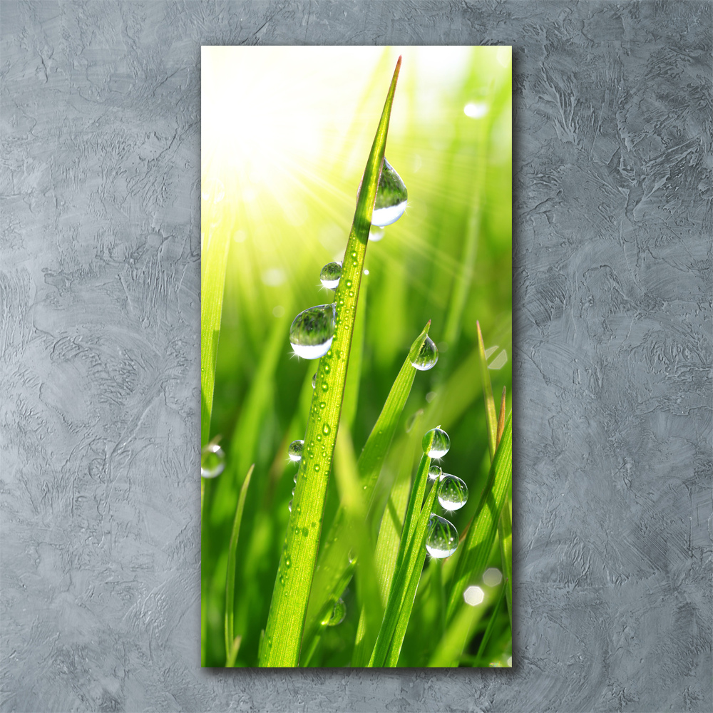 Print on acrylic Blade of grass