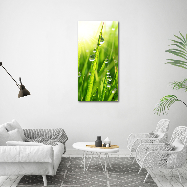 Print on acrylic Blade of grass