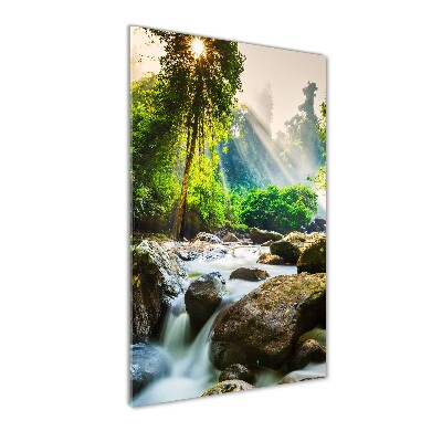 Wall art acrylic Waterfall in the forest