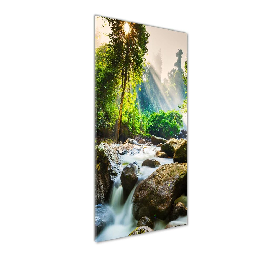 Wall art acrylic Waterfall in the forest