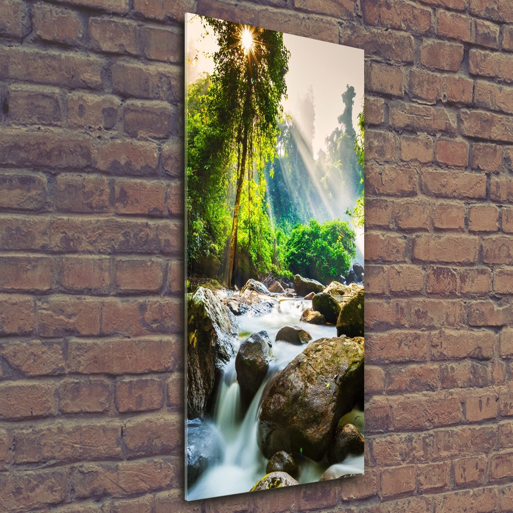 Wall art acrylic Waterfall in the forest