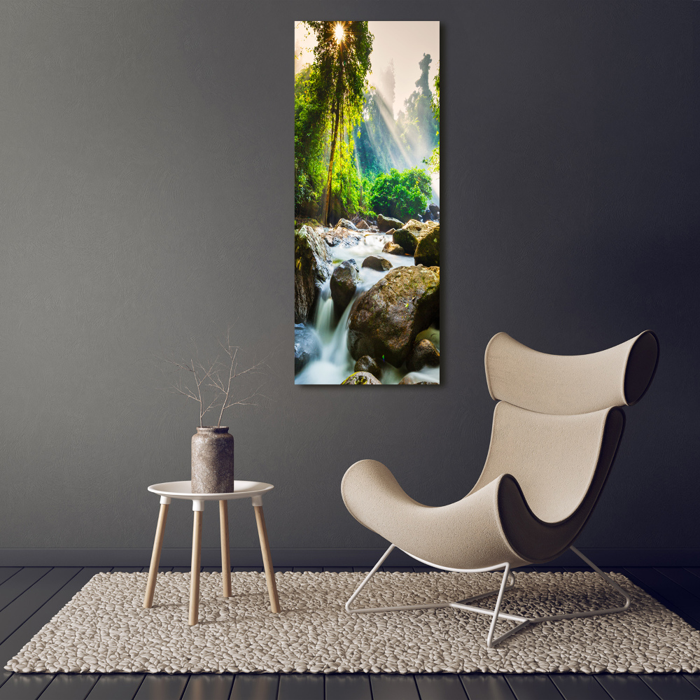 Wall art acrylic Waterfall in the forest